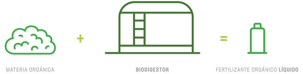 biodigestor